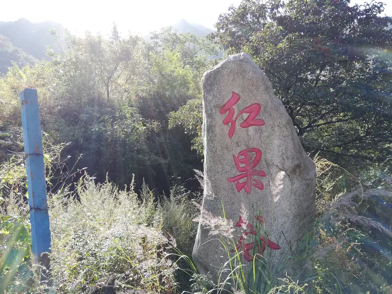 Red Fruit Valley