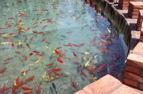 Huanghuacheng Eco-Park Resort