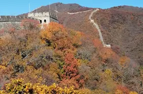 No. 11 Beacon Tower