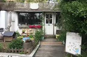 Seaside Cats And Cafe