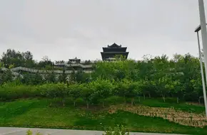 Beijing Horticultural Expo Park - Flower Field