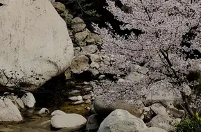 Split Rock Pass, Laoshan