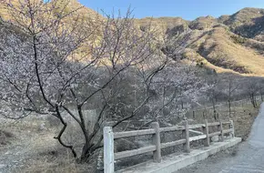 Zhuanghu Village