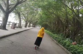 Nansha Wetland Dreamland Garden