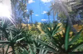 Hundred Flowers Cave
