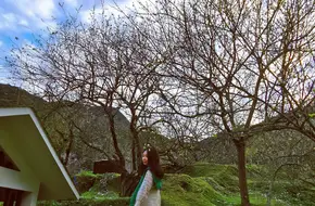 Shimen Fragrant Snow