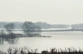 Dagu River