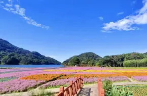 Shimen National Forest Park