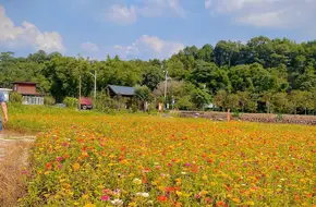 Hongshan Village