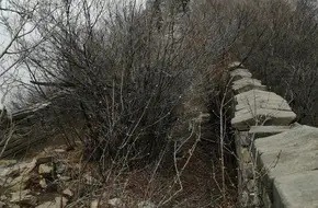 General Guarding The Pass