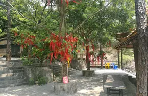 Dragon King Park