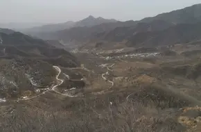 Longevity Mountain