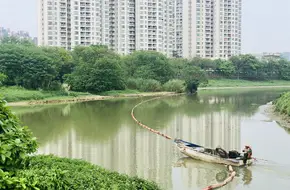 Hualu Wetland Park