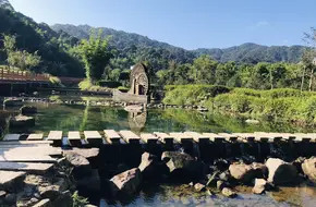 A Po Liu Camellia Valley