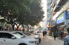 Kecun