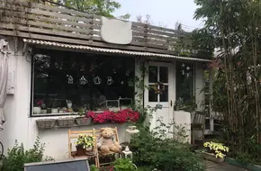 Seaside Cats And Cafe