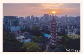 Flower Pagoda Of Six Banyan Temple