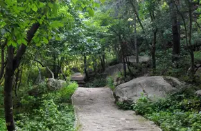 Song Mountain National Forest Park
