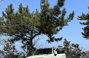 Qingdao West Coast East Coastal Road