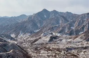 Longevity Mountain