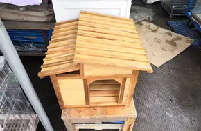Flower And Bird Fishing House