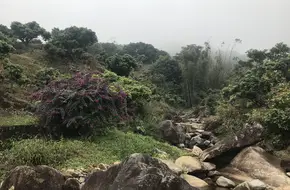 Rural Scenic Area