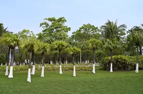 Nansha Binhai Park