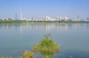 Haizhu Lake Park