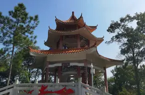 Hong Shan Cun Rapeseed Flowers - Tonggu Ding Park