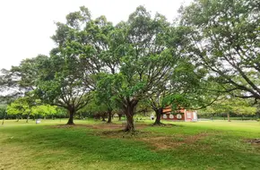 Puzhou Village