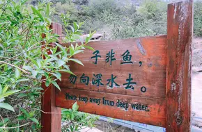 Pingdu Tea Mountain Glass Bridge