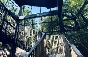 Nansha Wetland Dreamland Garden