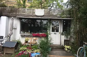 Seaside Cats And Cafe