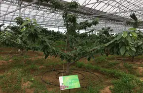 Qingdao Rural Park