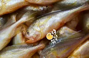 Shisanyong Aquatic Products Center