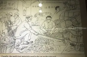 Chen Li Ji Chinese Medicine Museum