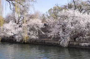 Xiuyi Bridge