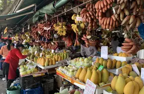 Shijiuyong Aquatic Products Trading Terminal