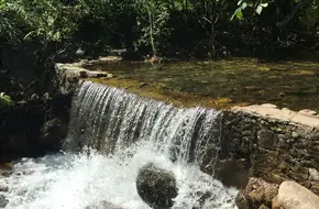 Magical Wild Mountain Gorge