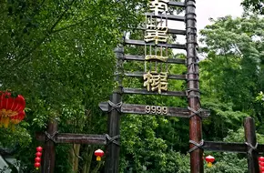Tiannan No.1 Ladder