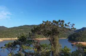 Jiulong Lake Eco Park
