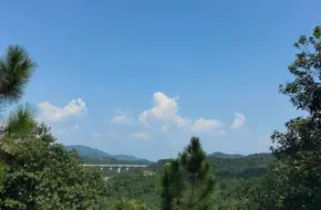 Hong Shan Cun Rapeseed Flowers - Tonggu Ding Park