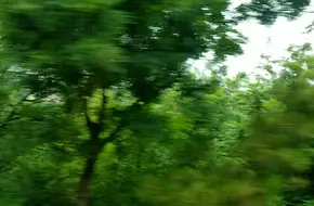 SlowTime Resort