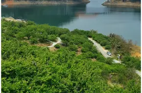 Liuxi River Forest Farm