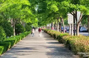Shaohai New City