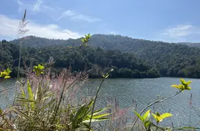 Yangshi Reservoir Fishing Ground