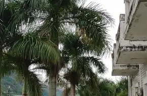 Lake View Resort
