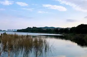 Furong Travel Resort