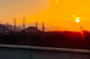 Yanqing Rice Fields