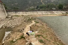 Dragon King Park